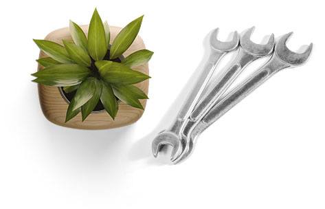 Plant and Wrenches